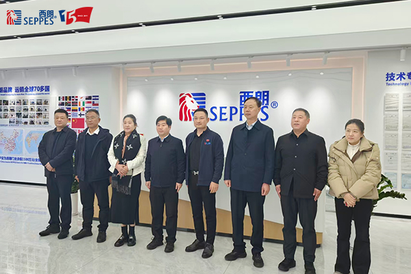 襄城县领导一行走访西朗门业共话发展新机遇