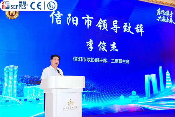 李俊杰副主席发言