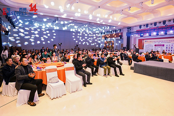 上图为：峰会现场